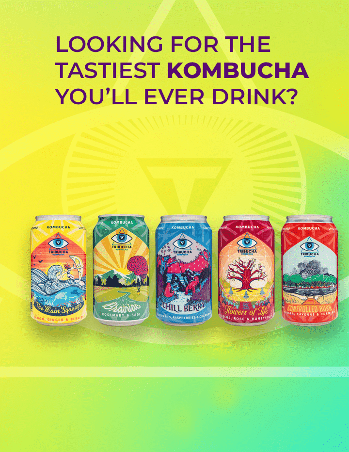 The five Kombucha cans