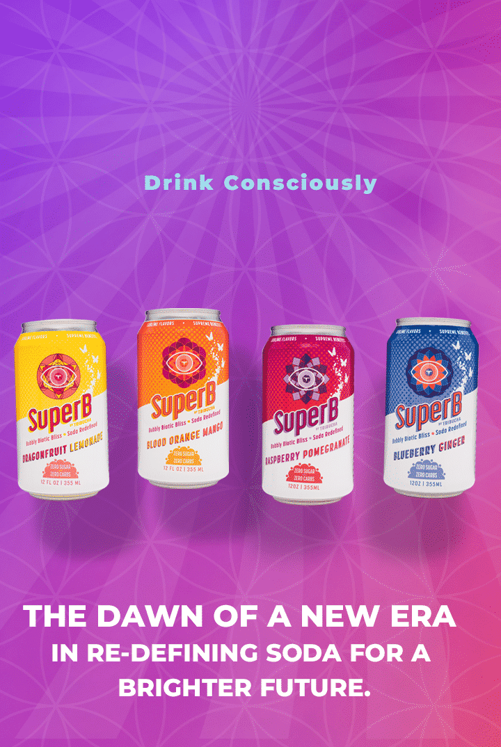 The four SuperB cans
