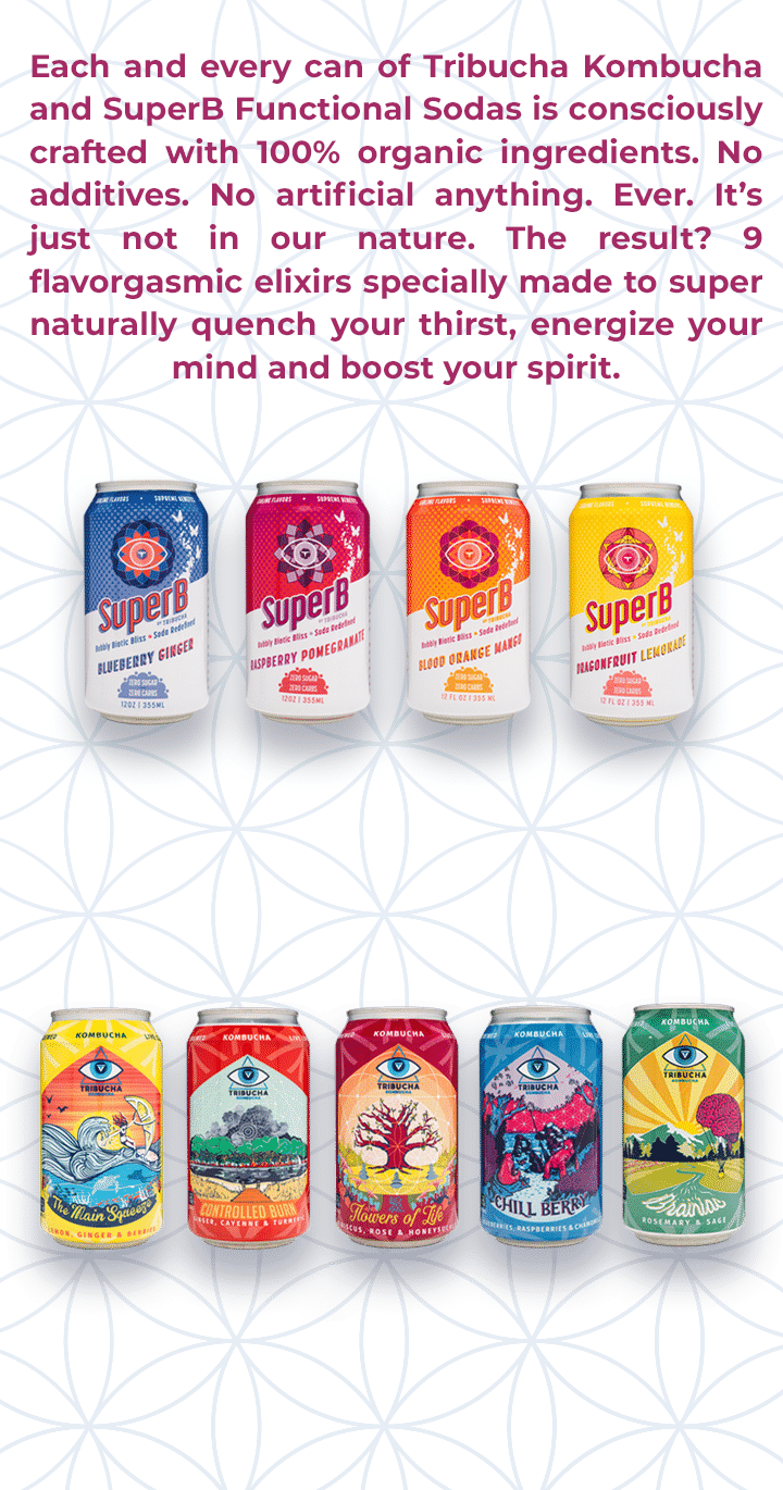 The four SuperB cans and the five Kombucha cans